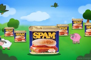 Internet Spam Farm