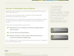 Sustainable Carbon Solutions